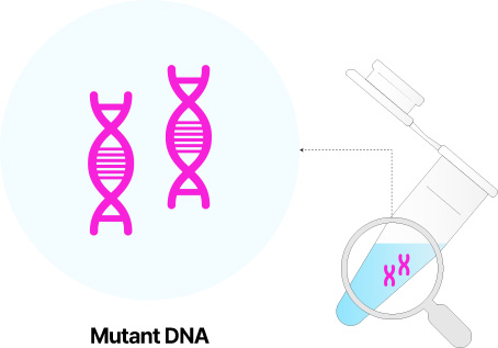 Mutant DNA