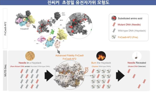 최고권위 학술지 '표지' 장식한 진씨커, 시리즈C 펀딩 돌입